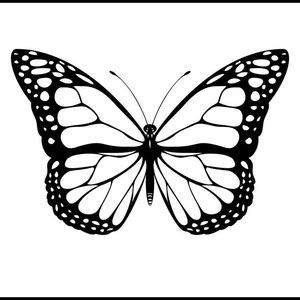 Meet your Posher, Teal